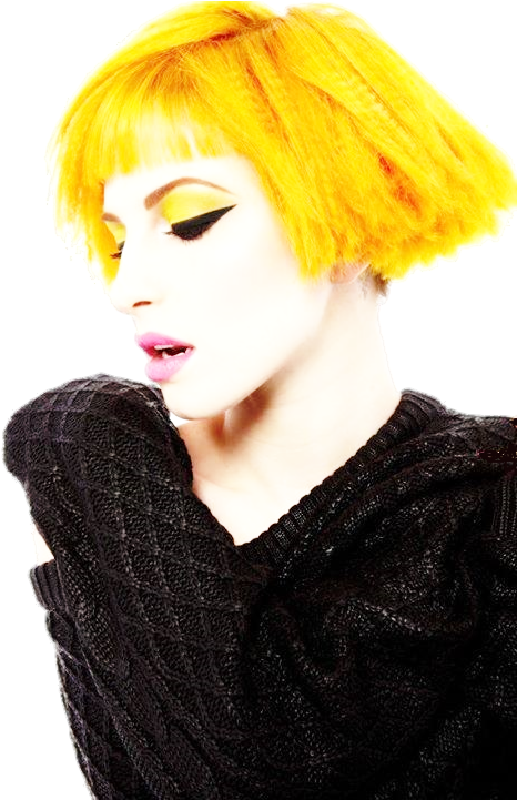 02~51 - Hayley Williams Le Beauty Exorcist (480x720), Png Download