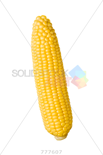 Stock Photo Of Peeled Yellow Corn Cob Isolated On Transparent - Corn On The Cob Vertical (333x500), Png Download