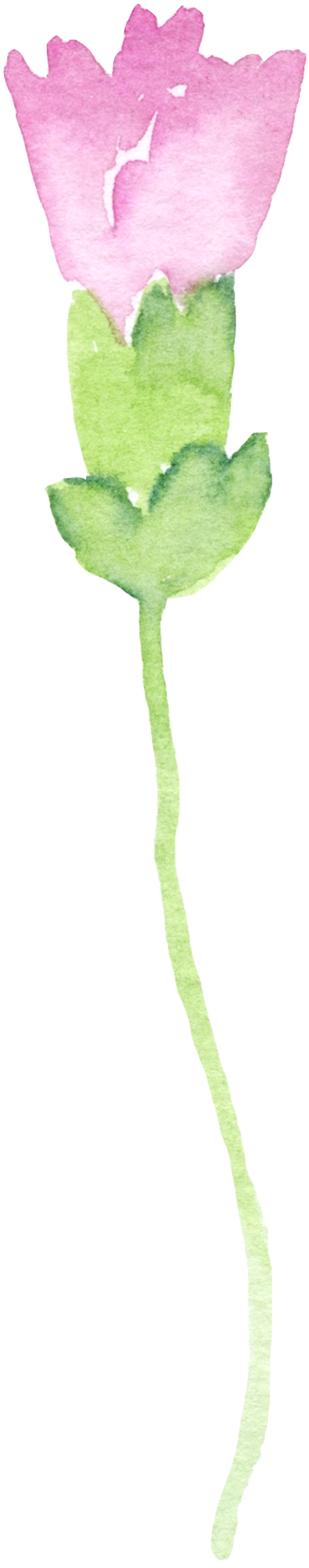 Painting Bouquet Transparent Decorative (760x3500), Png Download