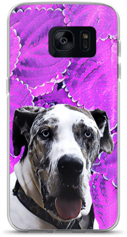 Great Dane Samsung Case - Great Dane (580x580), Png Download