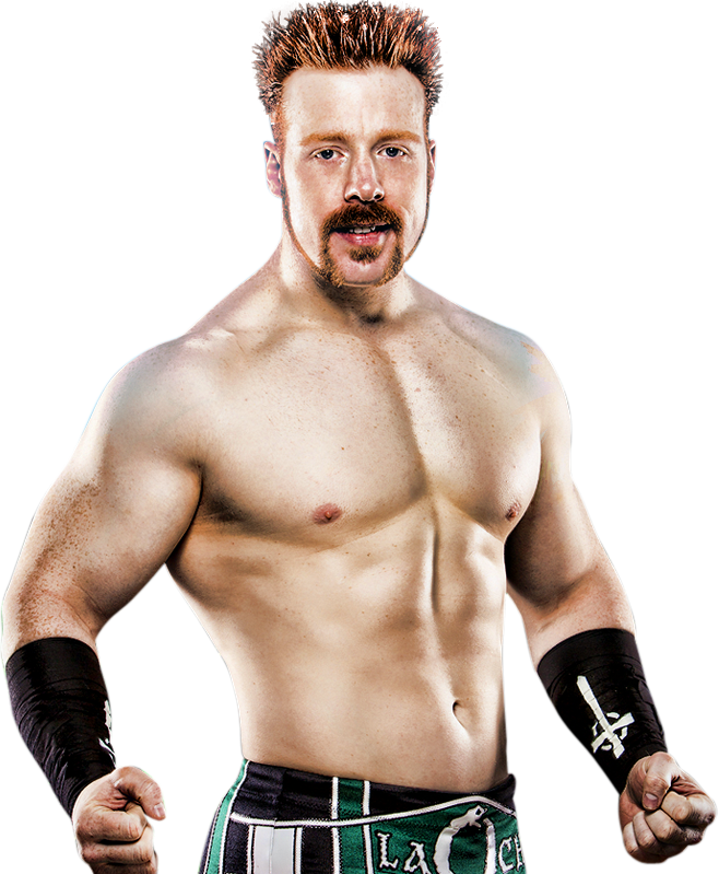 Sheamus Png File - Sheamus Wwe Png (658x799), Png Download