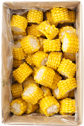 Corn Cobs Cut - Corn On The Cob (400x480), Png Download