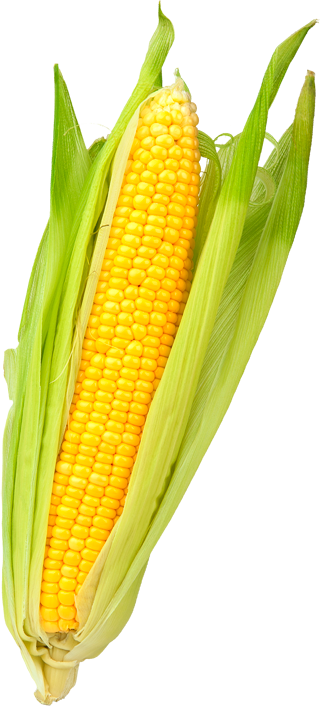 Menu Farmmenu Farm - Menu (320x706), Png Download