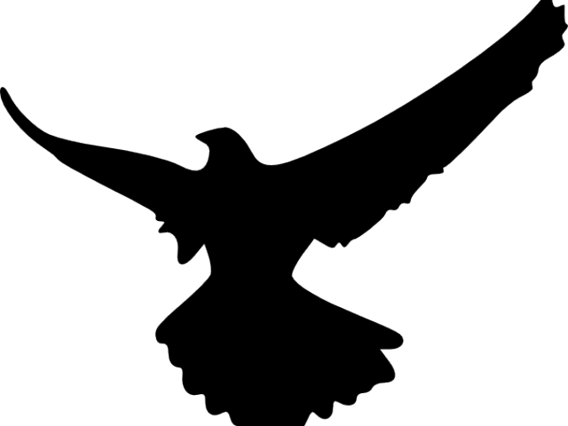 Clip Art (640x480), Png Download