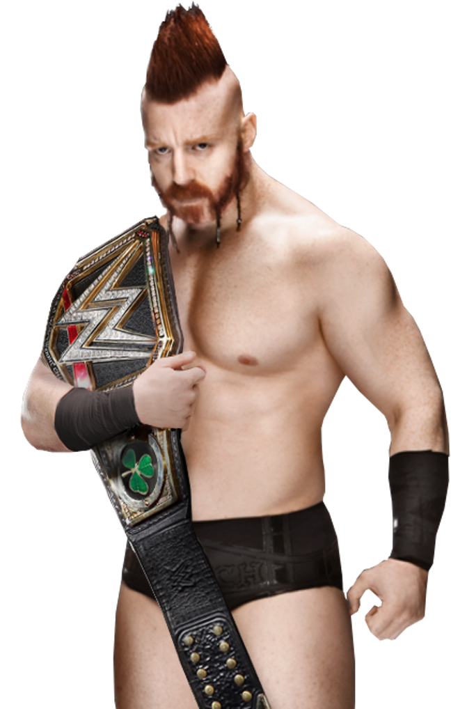 Sheamus Wwe World Heavyweight Champion - Wwe Sheamus World Heavyweight Champion (698x1024), Png Download