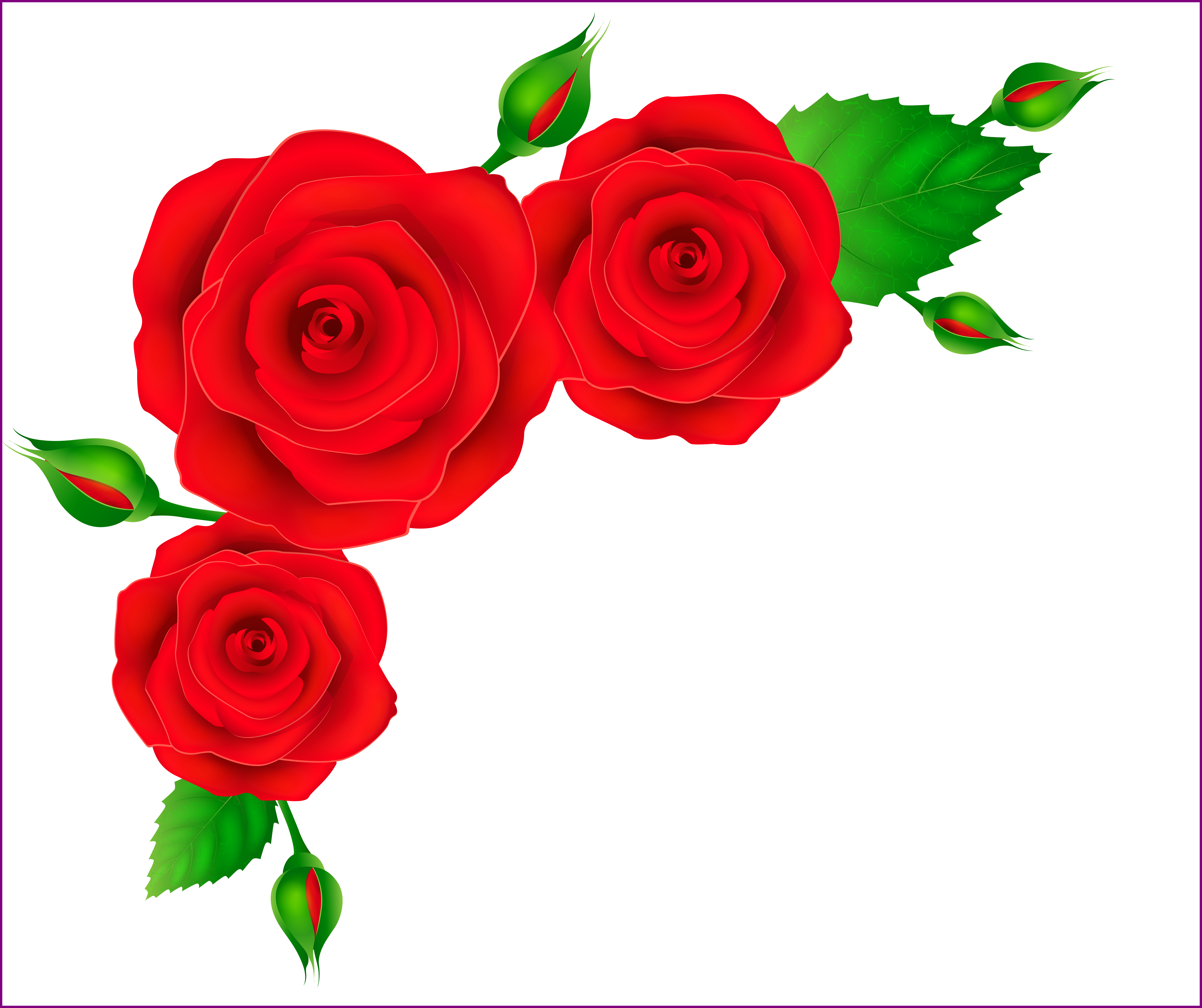 The Best Corner Transparent Png Clip Art (8030x6735), Png Download
