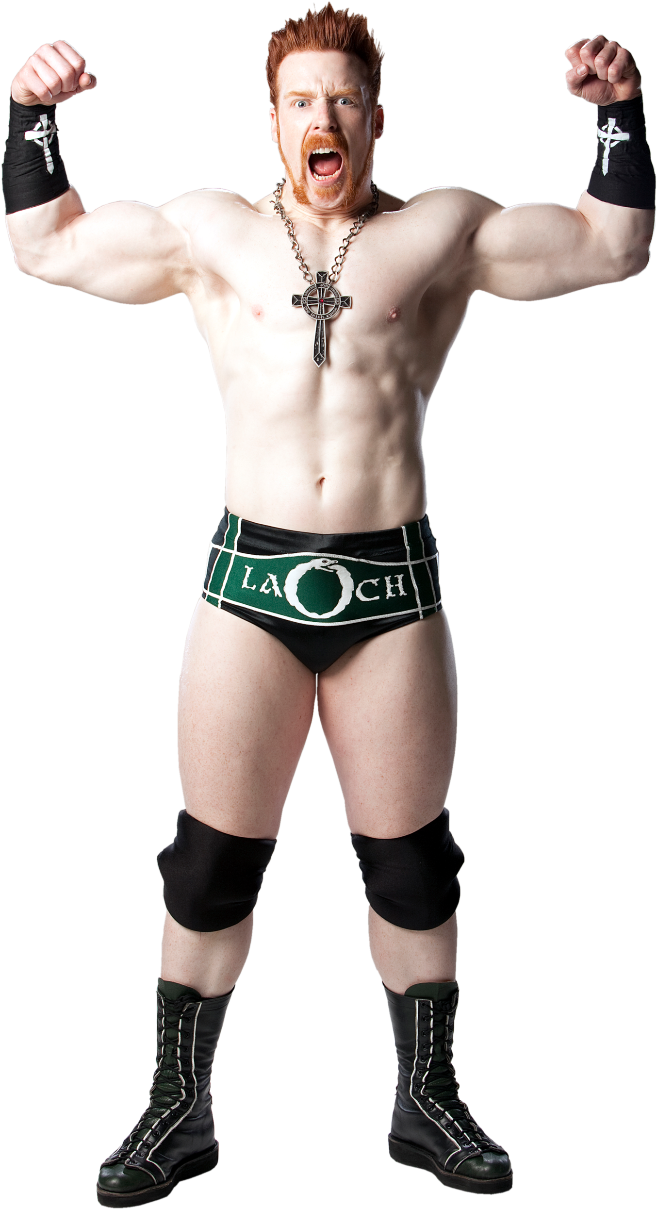 Sheamus Studio Photo2 - Wwe Sheamus Deviantart Full Png (2000x3000), Png Download
