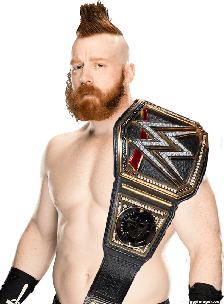 Sheamus Wwe World Champion - Sheamus Wwe (767x1042), Png Download
