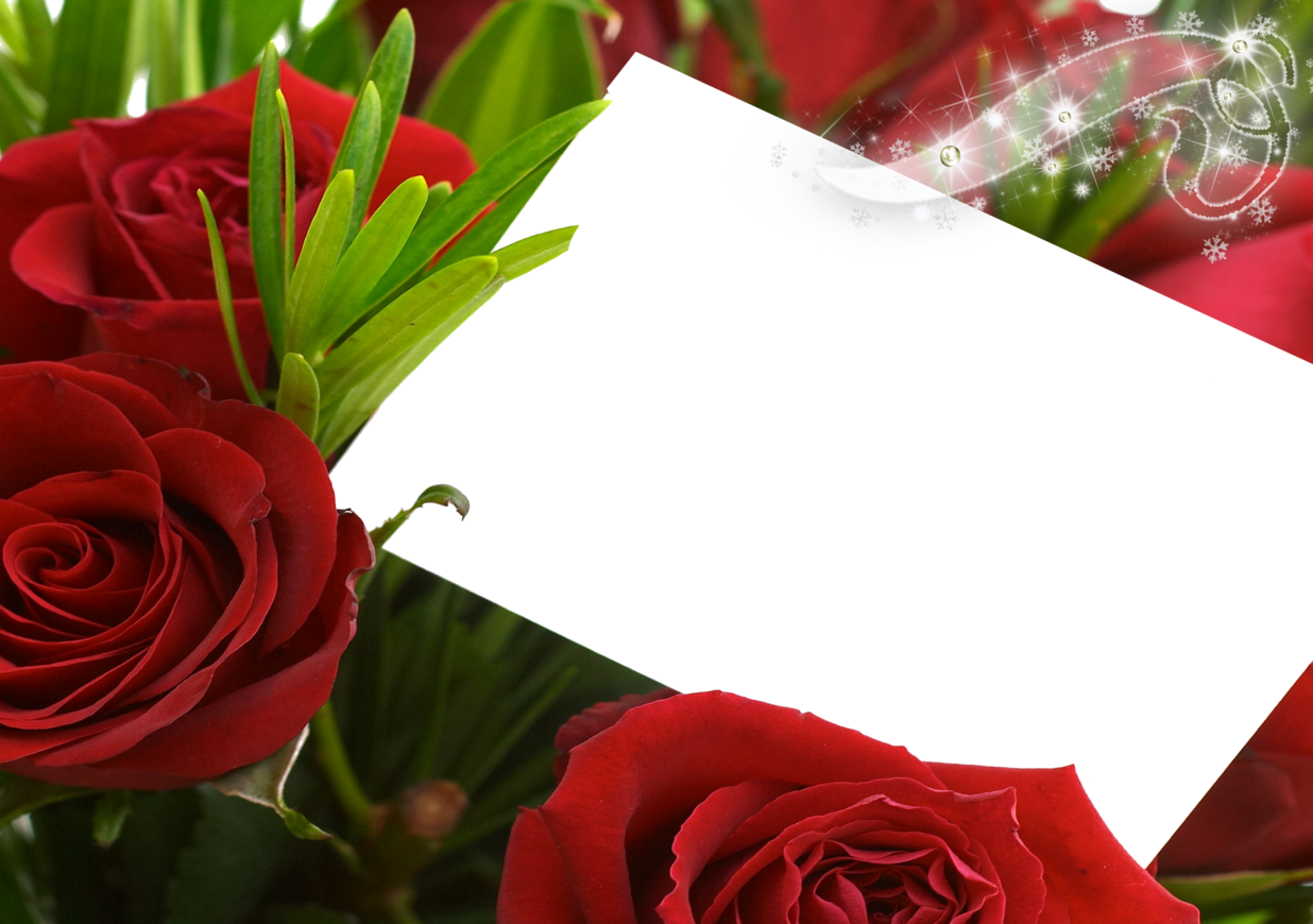 Flower Frame Png, Body Organs, Love Frames, Like Chocolate, - Happy Wednesday Have A Nice Day (1236x870), Png Download