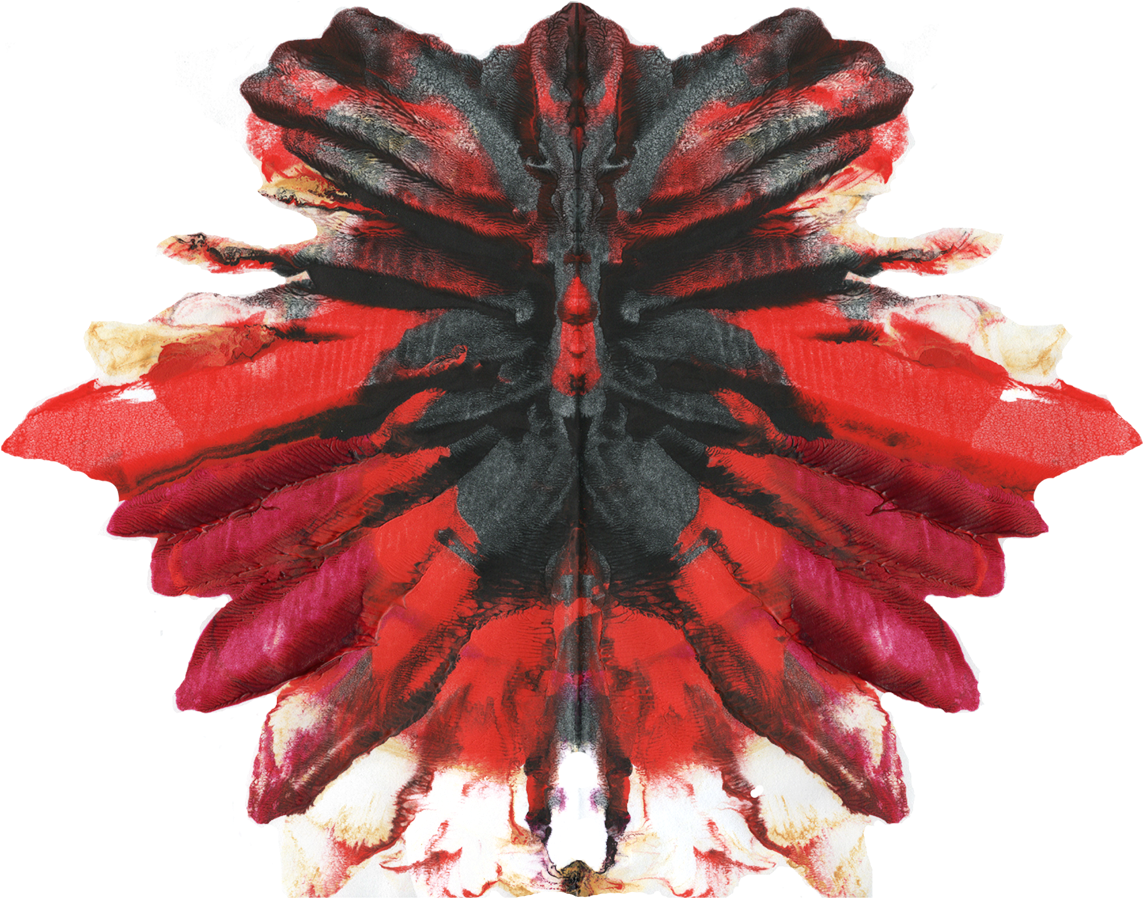 Rose Petals Blot - Floral Design (1200x927), Png Download