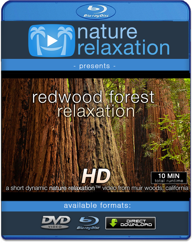 "redwood Forest Relaxation" Healing 10 Minute Nature - Muir Woods National Monument (1000x1000), Png Download