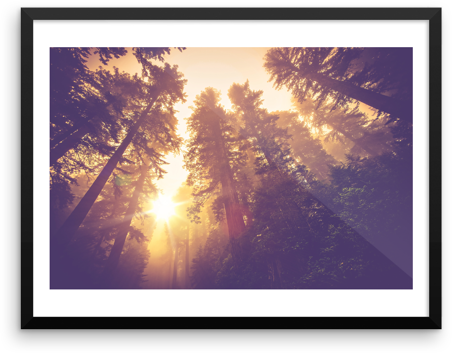 Denjy Waste All My Love (964x862), Png Download