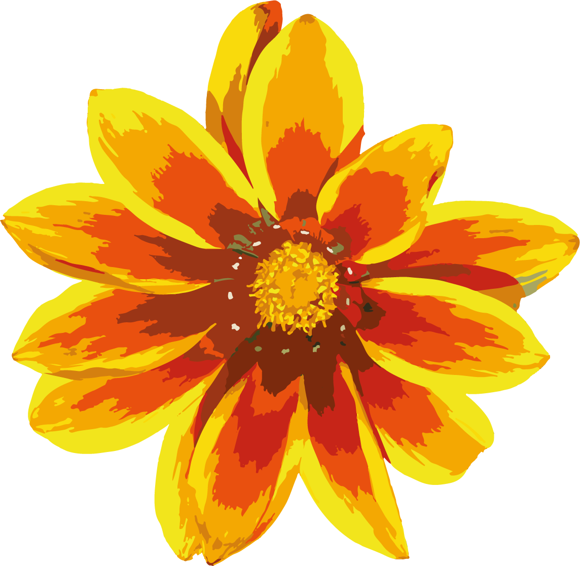 Contact Orange Flower Png (1144x1117), Png Download