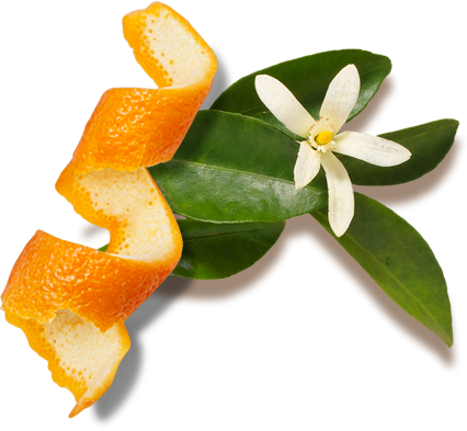 Videos - Lemon (426x393), Png Download