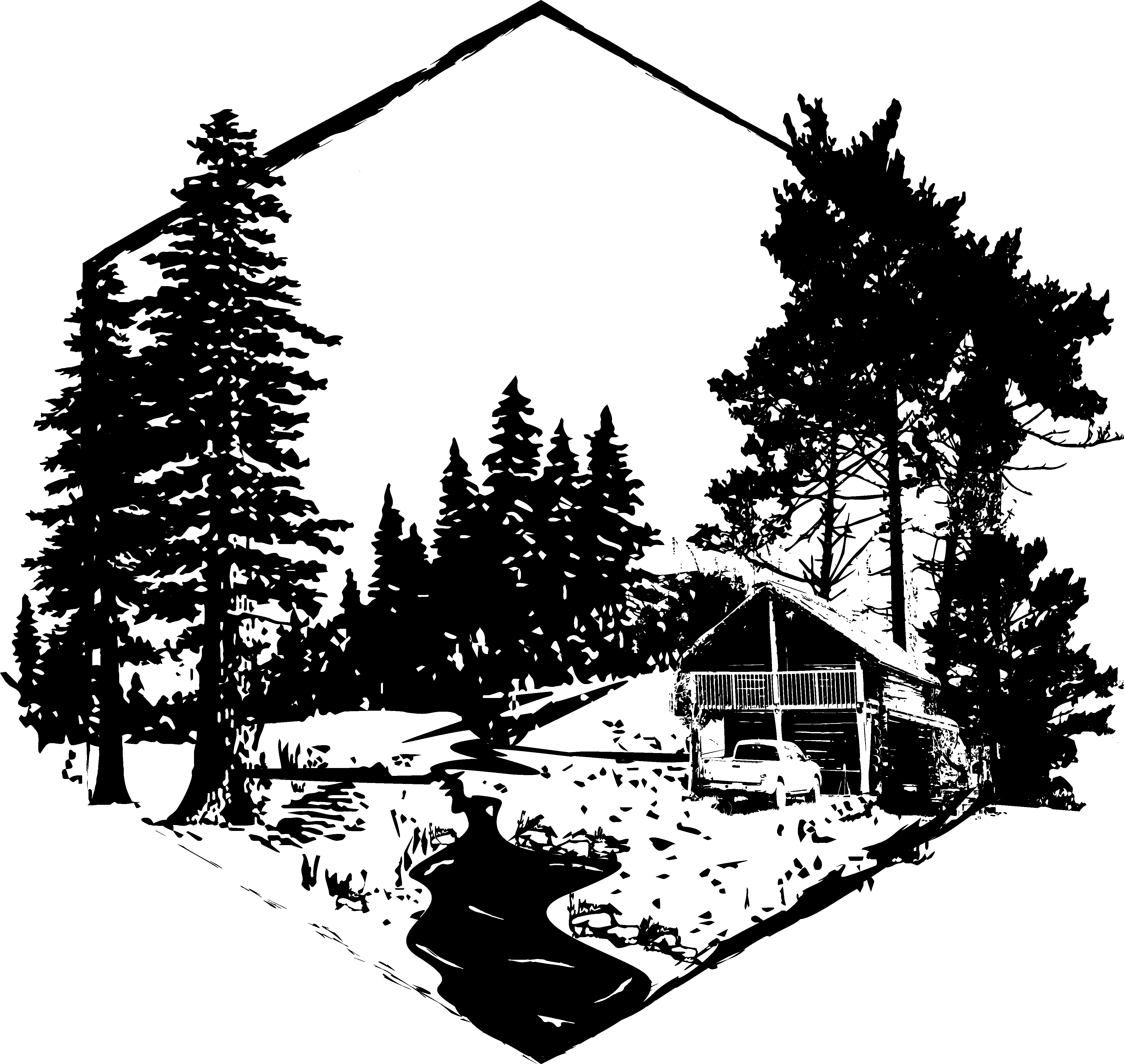 Pines To Redwoods - Colorado Spruce (4432x4195), Png Download