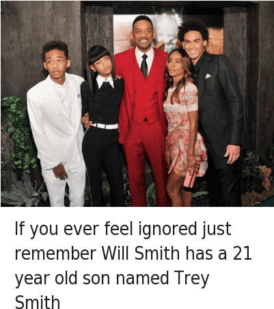 Ignorant, Will Smith, And Old - Will Smith Son Meme (400x470), Png Download