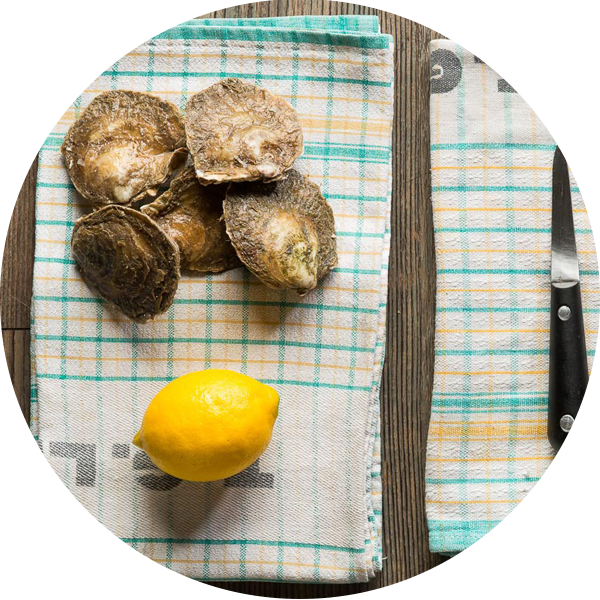 Yellow Brick Road (600x600), Png Download