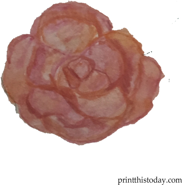 Handmade Orange Rose - Garden Roses (720x720), Png Download