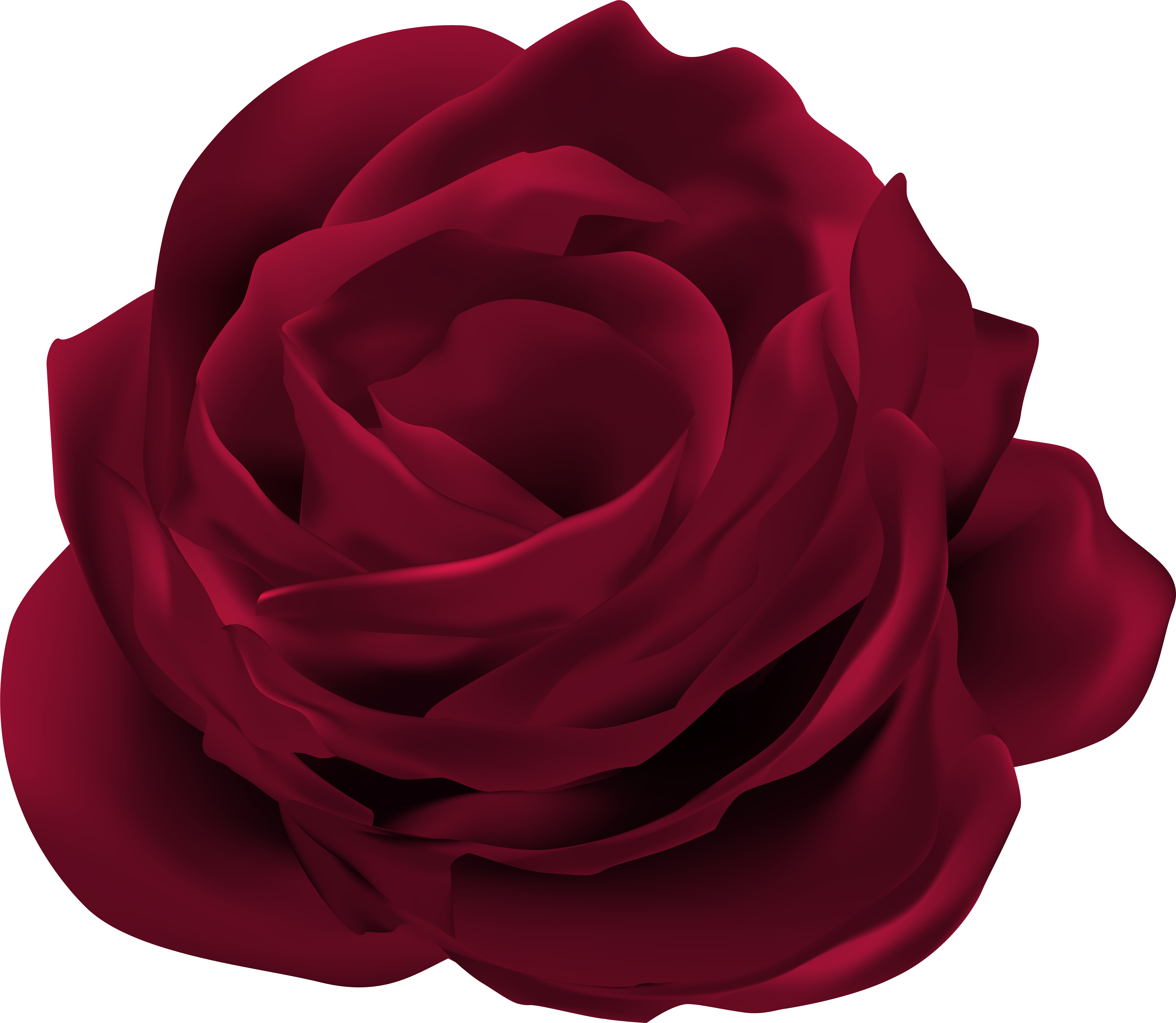 Rose Flower Png (8000x6958), Png Download