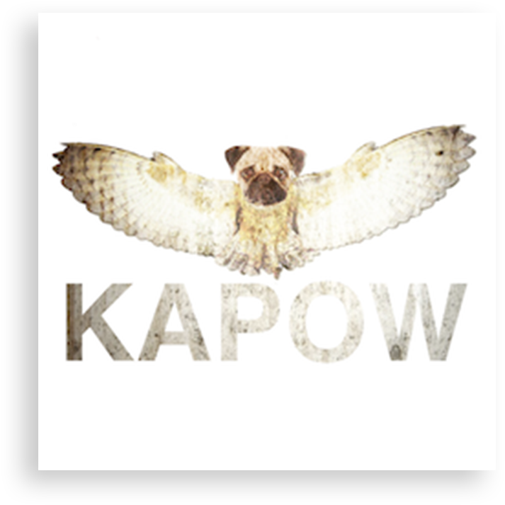 Kapow - Accipitridae (1000x1000), Png Download