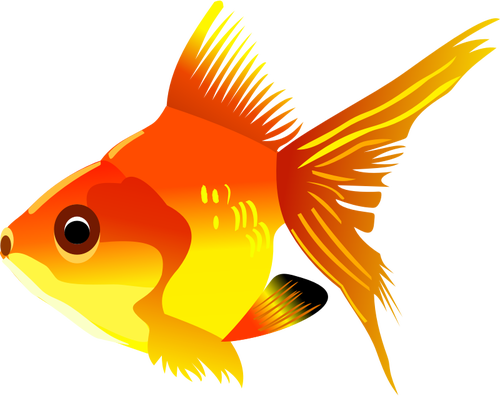 Goldfish Clipart Golden Fish - Transparent Background Clip Art Fish (500x396), Png Download