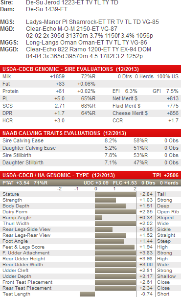 Rambo - Toro Holstein Alta Mystique (370x607), Png Download