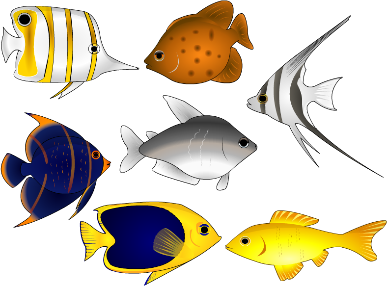 Fish Vector Art Clipart - Coral Reef Fish (800x600), Png Download