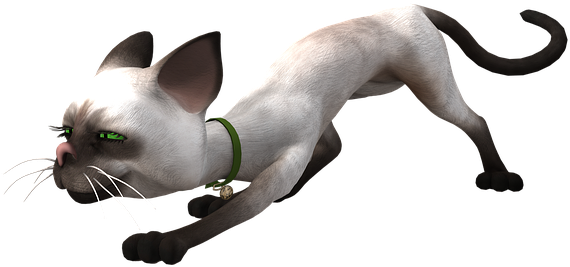 Toon, Cat, Toon Cat, Funny, Sneak, Hell, Green Eyes - Cat Png Attack (640x533), Png Download