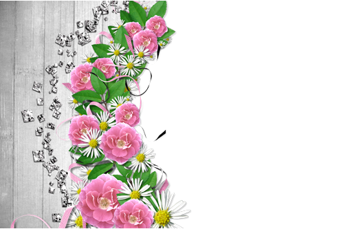 Photo Frame - Flowers Line - Tujhe Rab Ne Banaya Kis Liye Mp3 Song (499x333), Png Download
