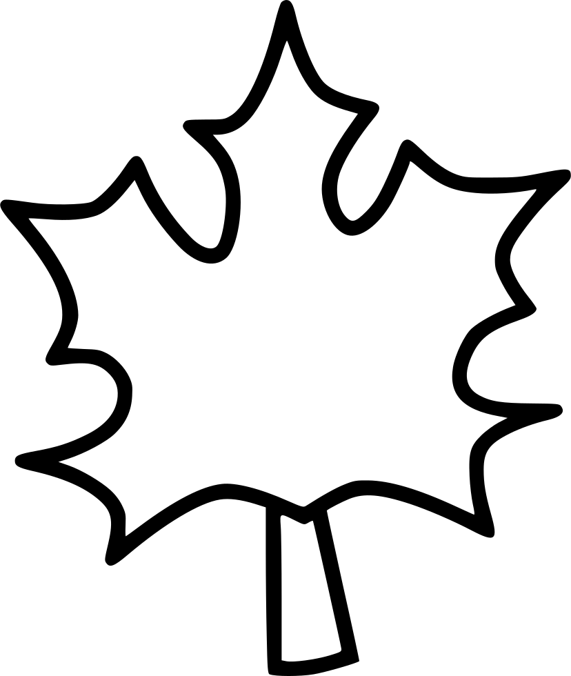 Maple Leaf Leaves Autumn Dry Tree Comments - Leaf (828x980), Png Download