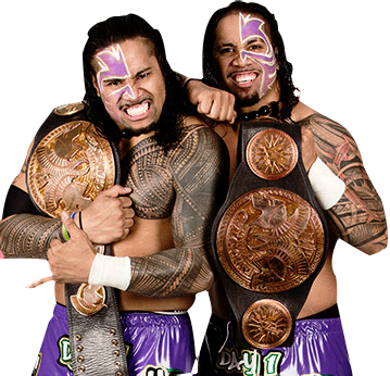 The Young Bucks - Njpw Vs Wwe Dream Matches (359x346), Png Download