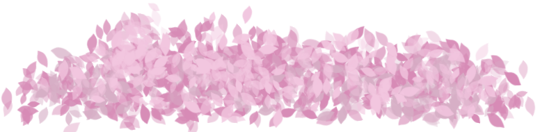 Of Sakura Mar By For Using Muro - Pile Of Cherry Blossom Petals (776x190), Png Download