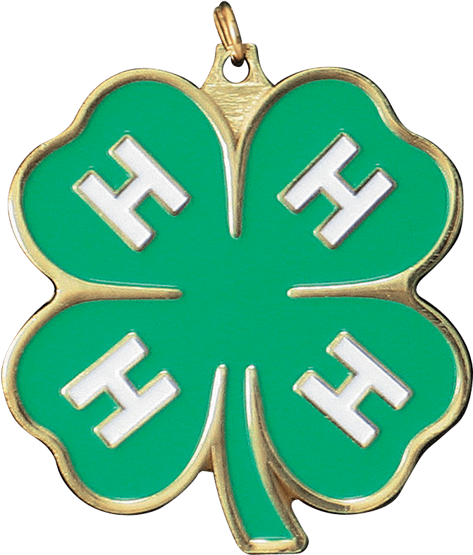 4 H Emblem Clover Gold Medal - 4 H Colorado (803x802), Png Download
