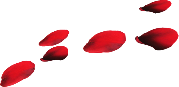 Red Flower Petals - Petal (600x294), Png Download
