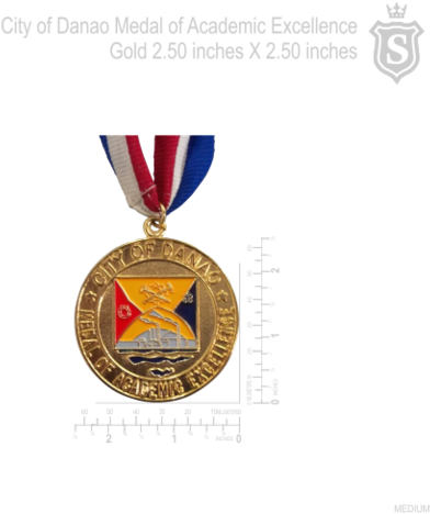 City Of Danao Medal Of Academic Excellence Gold - Danao, Cebu (480x480), Png Download