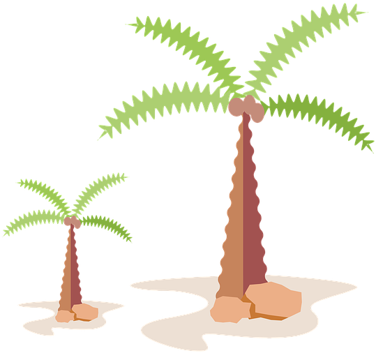 Palm, Tree, Tropical, Summer, Nature, Travel, Green - Palm Trees (960x650), Png Download