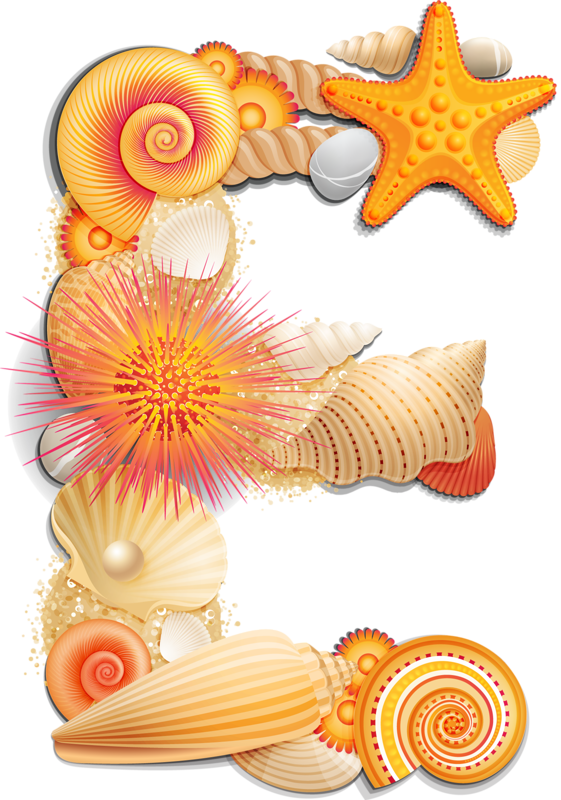 Фото, Автор Arana На Яндекс - Shell Letters Clip Art (561x800), Png Download