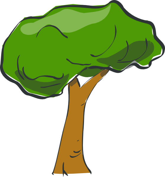 Tree Png (558x596), Png Download