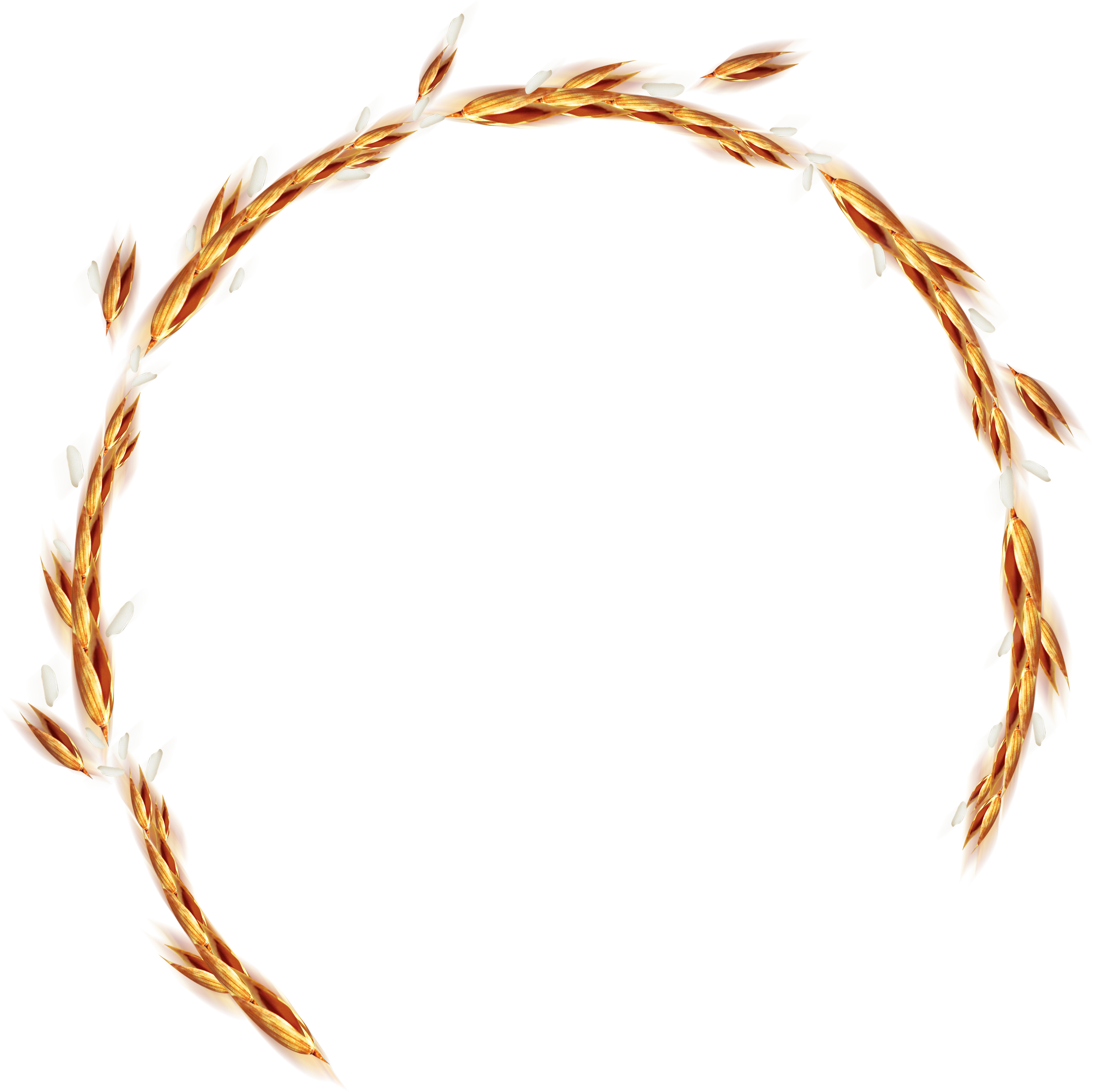 Wheat Wreath Rice Computer File - Computer File (2446x2444), Png Download