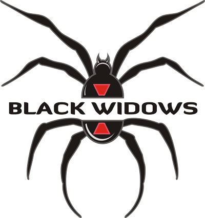 Nh Black Widows Travel Team - Black Widow Softball Logo (400x426), Png Download