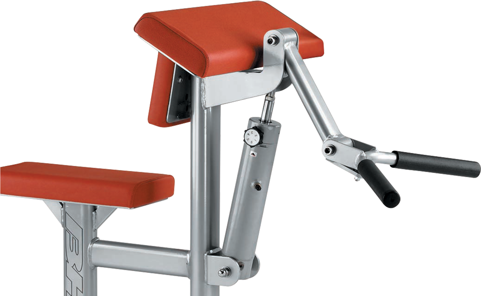 Biceps And Triceps - Maquina De Biceps (1920x1080), Png Download