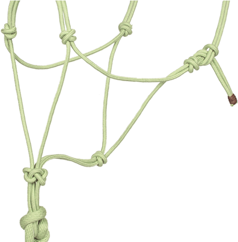 Bamboo Rope Halter W/lead - Lead (480x480), Png Download