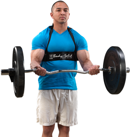 View Larger Photo Email - Body Solid Bicep Bomber Bb23 (500x500), Png Download