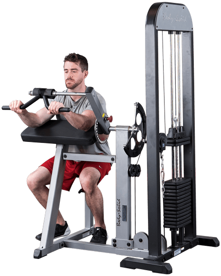 Biceps And Triceps Machines (600x600), Png Download