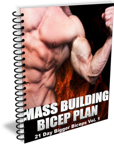 3 Secrets You Must Know About To Build Bigger Biceps - Pegasus World Cup (434x600), Png Download