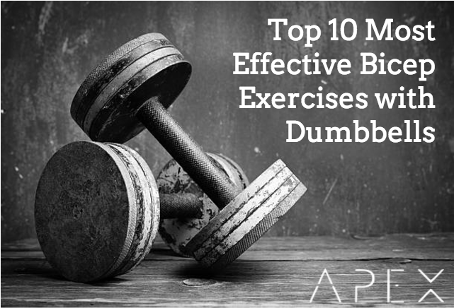 Dumbbells Hd (640x640), Png Download