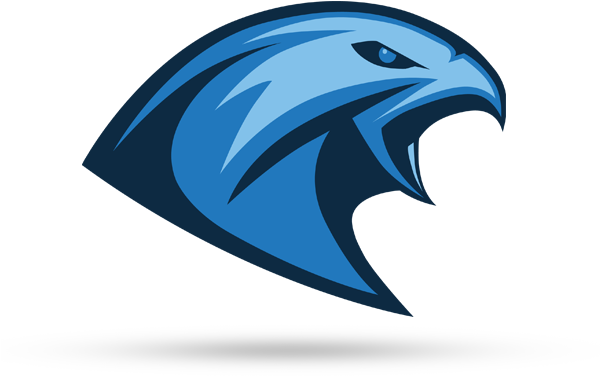 Tychy Falcons (600x600), Png Download