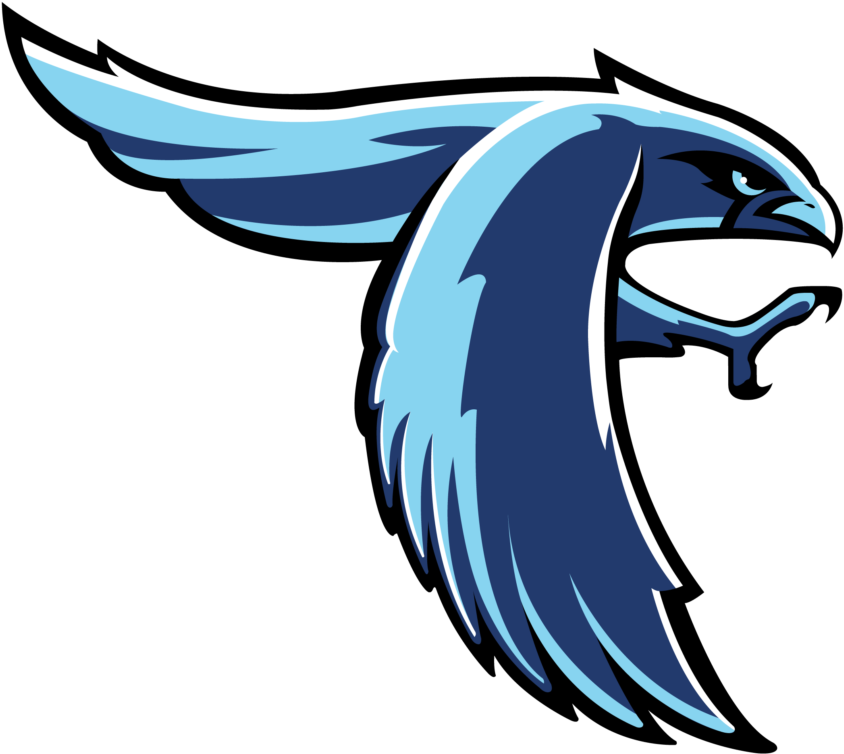 Touchscreen Wall Of Fame And All-state Falcons - Meridian High School Mascot (1024x889), Png Download