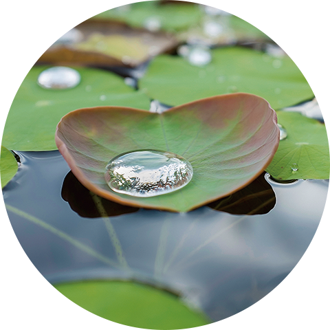 Initiatives For - Water (480x480), Png Download