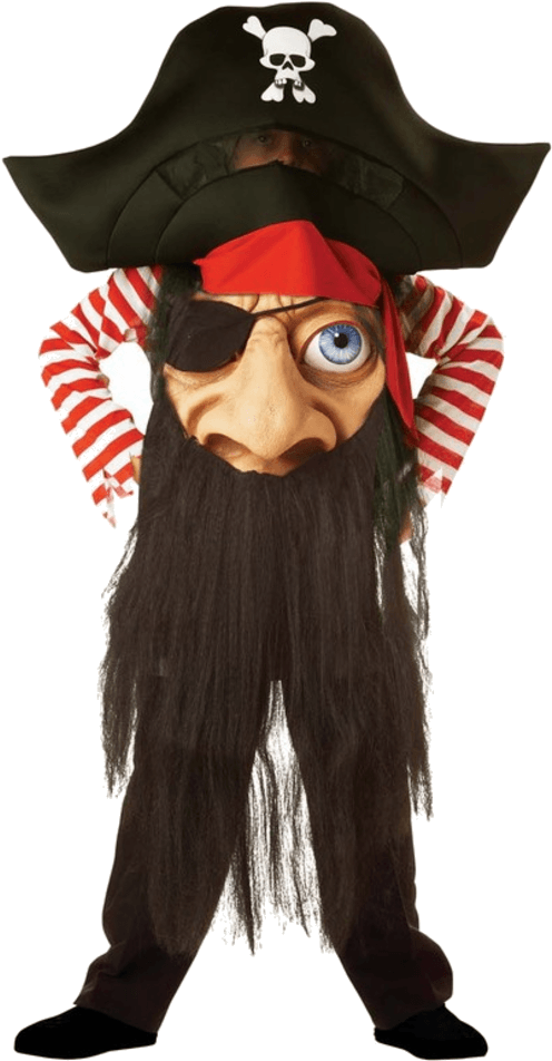 Funny Pirate Costume (600x951), Png Download